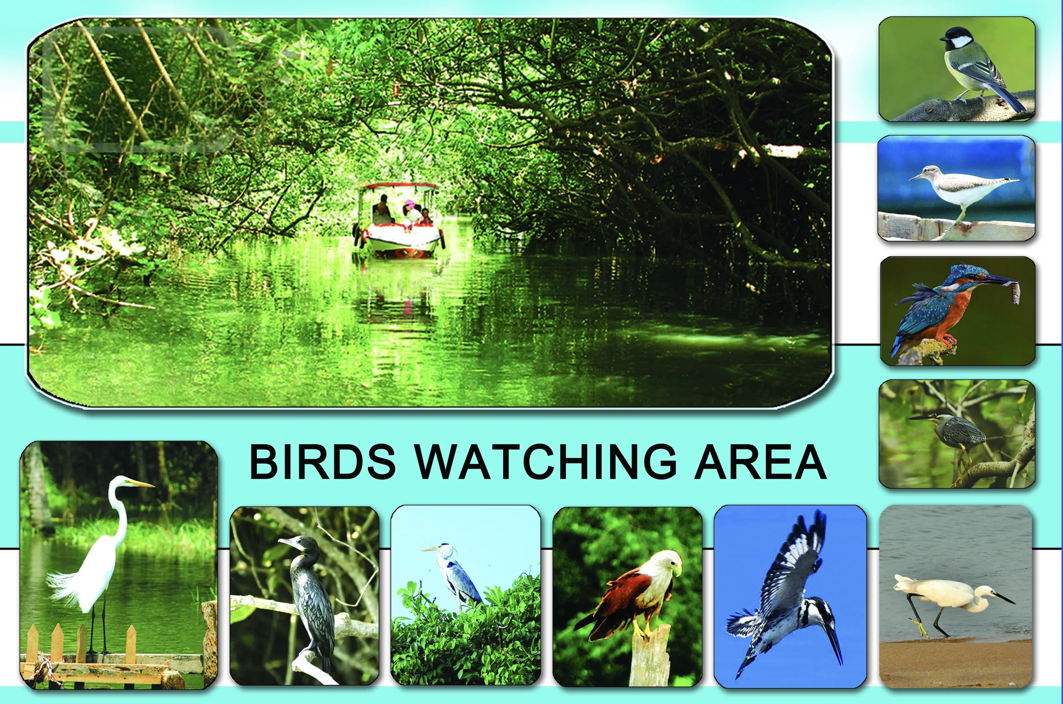 Poovar backwater boating and island cruise gallery image 6